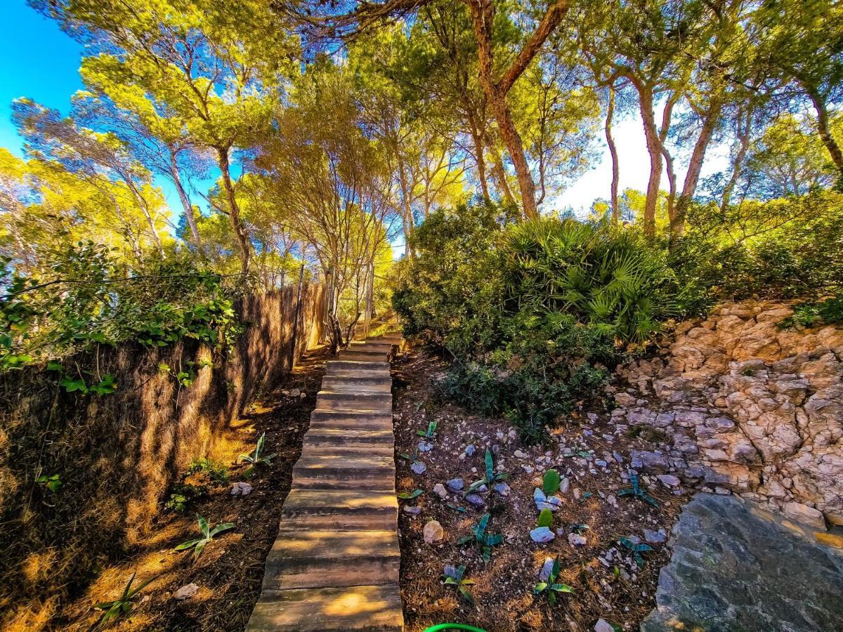 Villa Cala Llamp Andraitx Bagian luar foto